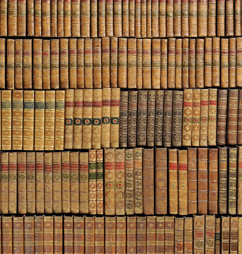 News & Insights