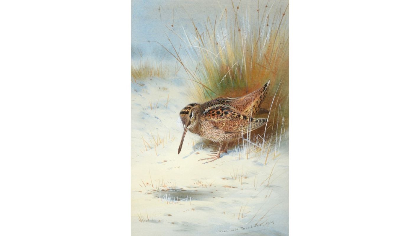Archibald Thorburn (1860-1935), “Woodcock in a Snowbound Landscape”